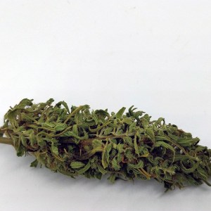 Cannabis Light - Dove Acquistare Prodotti di Qualità a Prezzi Imperdibili.