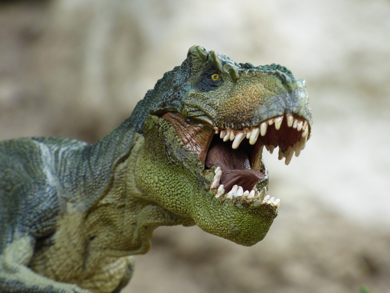 Dinosauri 360: le più complete informazioni sul T-Rex